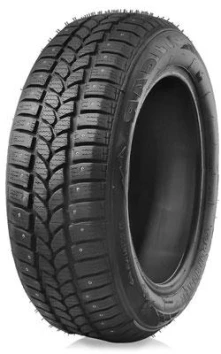 205/60 R16 96T Riken Allstar Stud