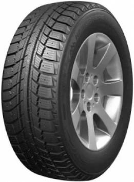 205/70 R15 96T Double Star DW07