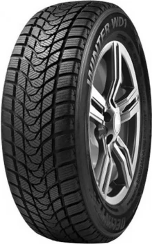 245/45 R19 98S Delinte Winter WD1