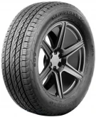 295/30 R22 103W xl Antares Majoris R1