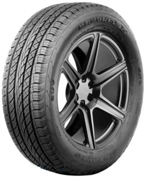 285/45 R22 114V xl Antares Majoris R1