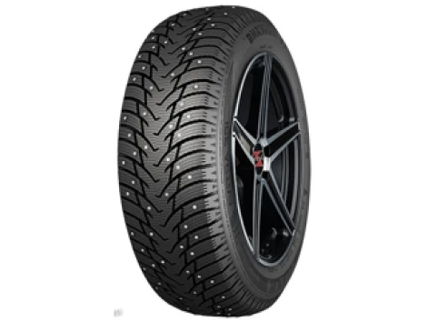 215/55 R18 99T xl Nankang Ice Activa SW-8