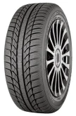 215/65 R16 98H GT Radial CHAMPIRO WINTERPRO