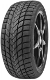 195/55 R16 87T Delinte Winter WD6