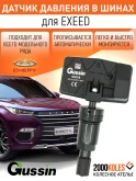 Датчики давления в шинах для Chery Tiggo 3
