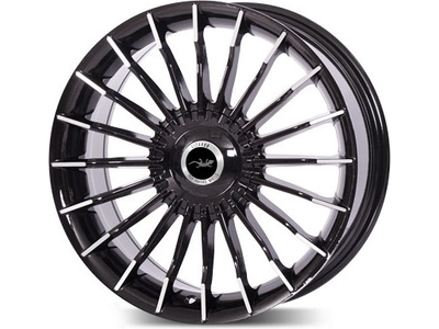 Lizardo XH1016