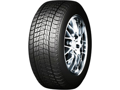 275/45 R21 110T Boto WD69