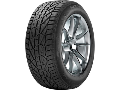 Taurus Winter 205/55 R16 91H