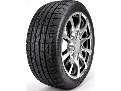205/50 R17 89T Centara WINTER RX621