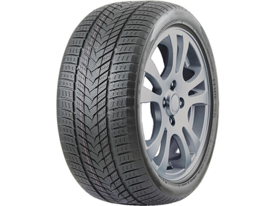 295/35 R21 107H xl Roadmarch WINTERXPRO 999