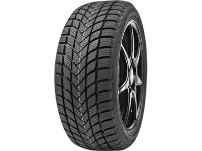 195/55 R16 87H Delinte Winter WD6