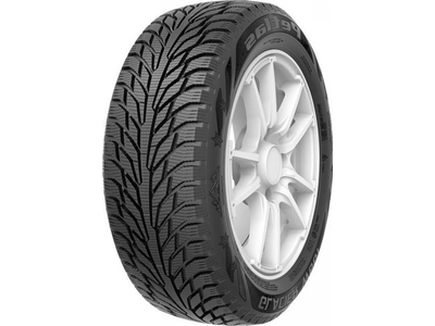 Petlas Glacier W-661