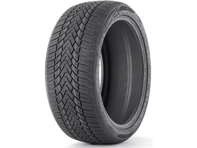 225/55 R19 99H Fronway ICEMASTER I