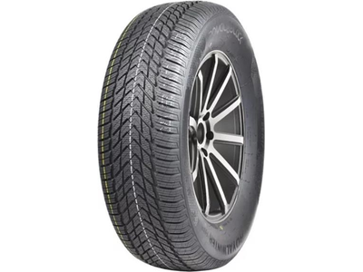 Royal Black Royal Winter HP 205/55 R16 91H