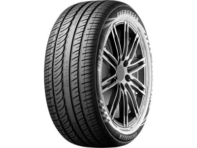 235/50 R17 100W Evergreen EU72