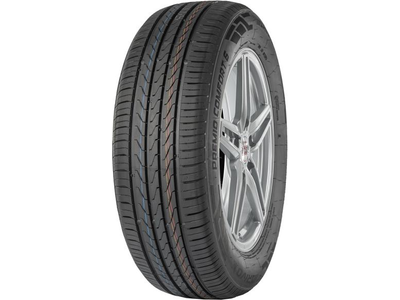 Arivo Premio Comfort 6